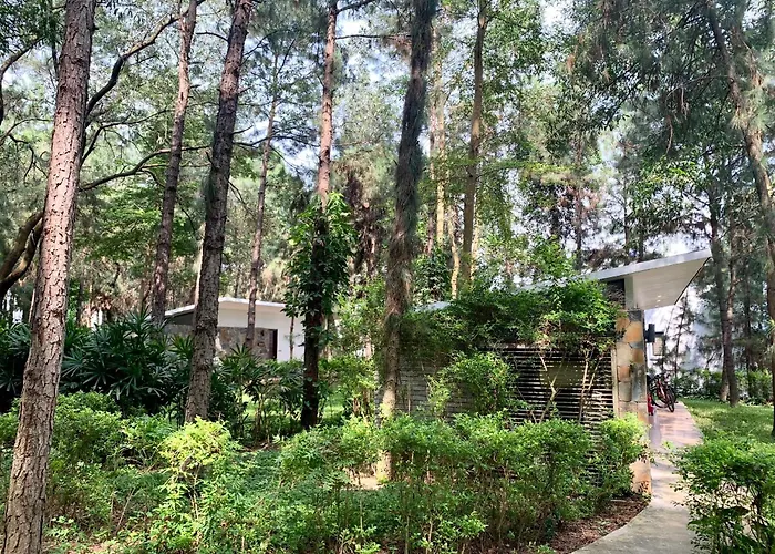 Hilltop Dai Lai H230 Villa