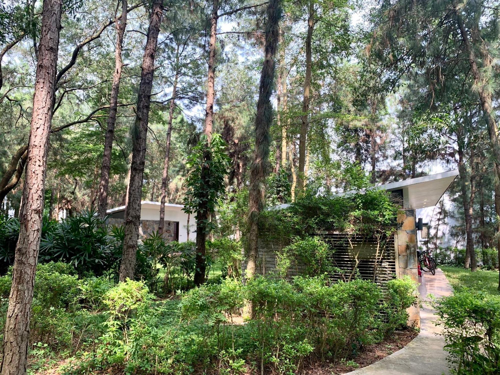 Apartment Hilltop Dai Lai H230 *